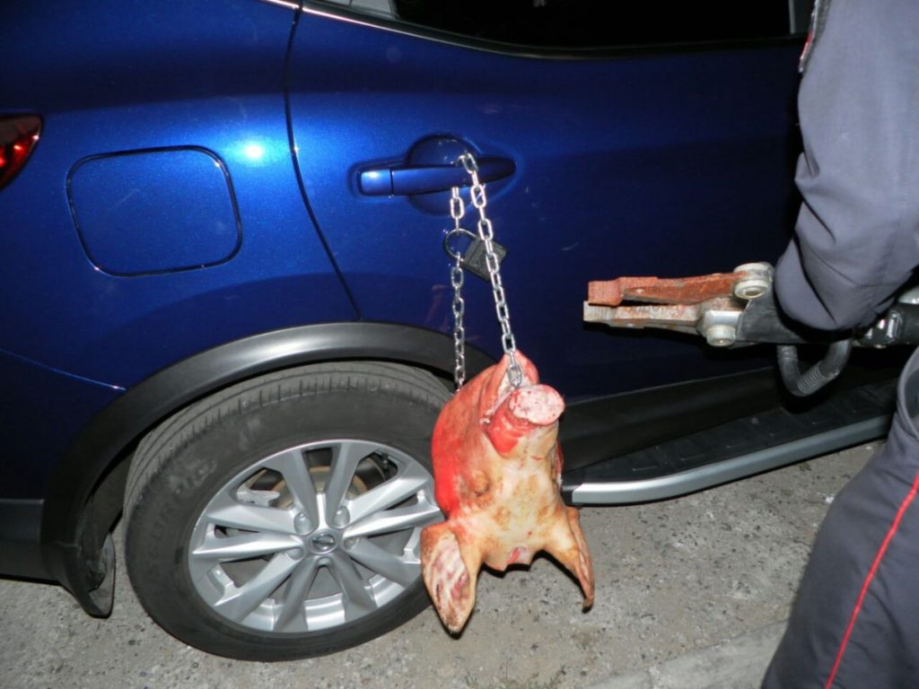В Чебоксарах на машину автоледи прицепили окровавленную голову свиньи