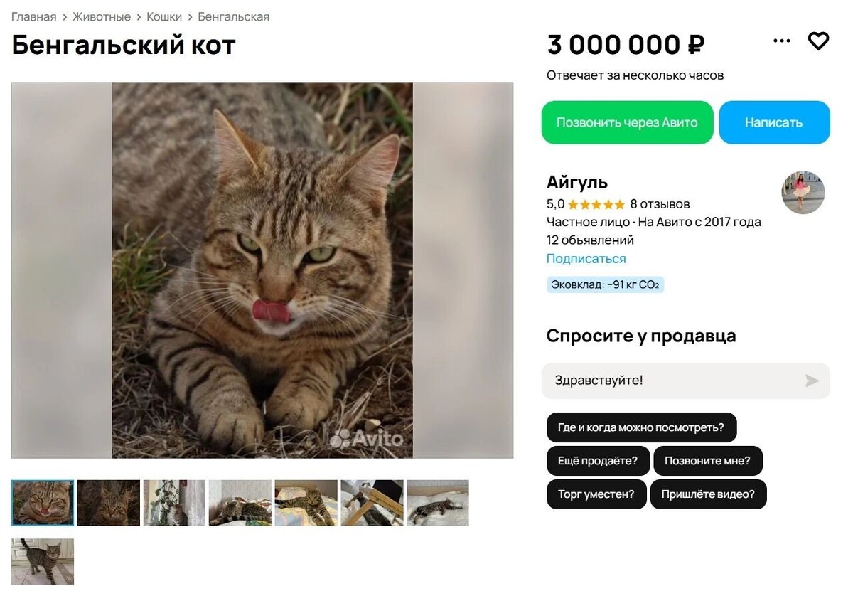 scale_1200 (1)